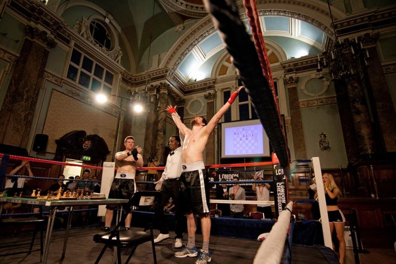 Yellobric Chessboxing Ball